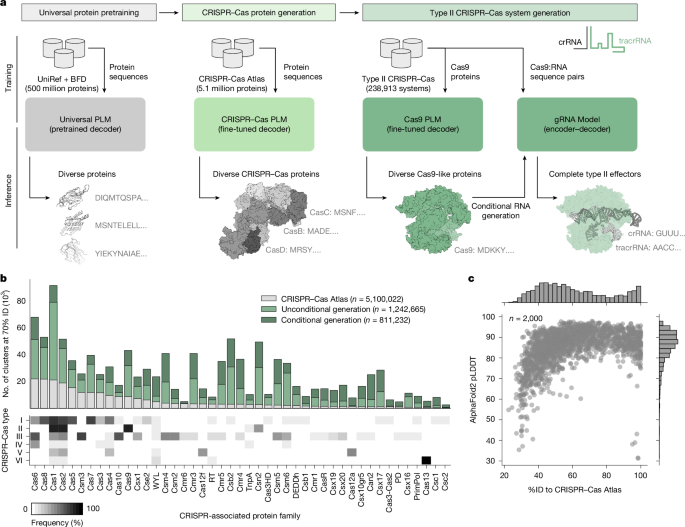 design-of-highly-functional-genome-editors-by-modelling-crispr–cas-sequences