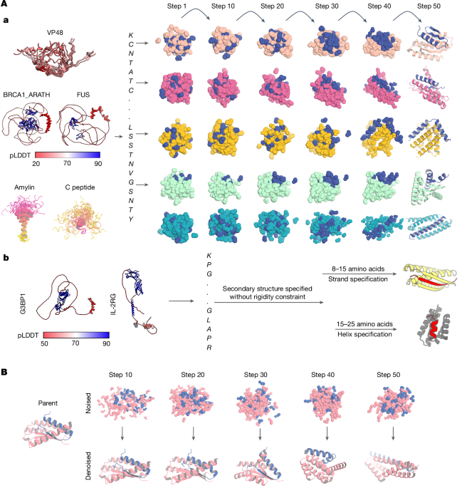 diffusing-protein-binders-to-intrinsically-disordered-proteins