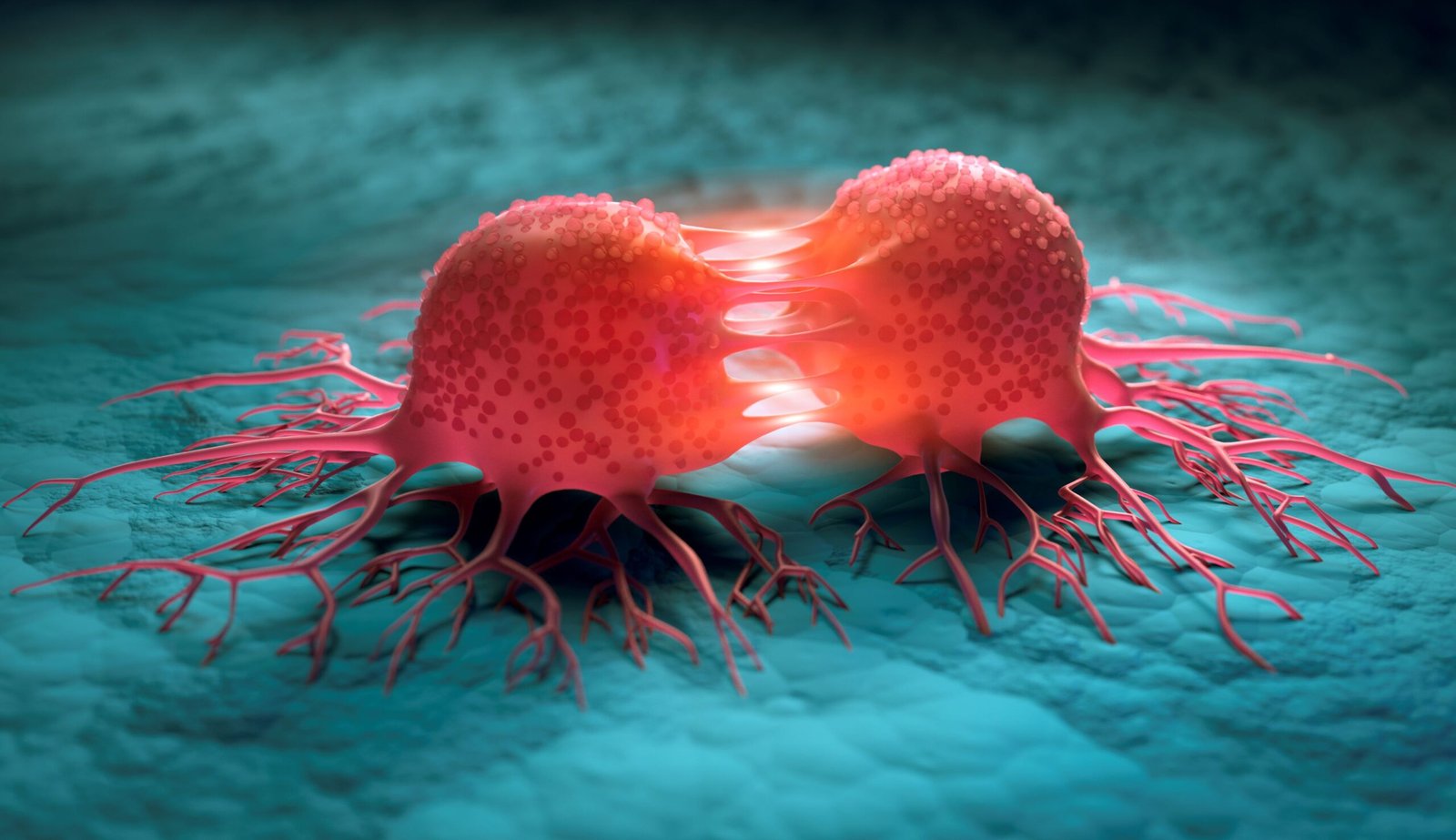 confined-cancer-cells-undergo-nuclear-atp-surge,-unlocks-therapy-target
