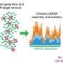 maxing-out-chemical-free-crop-protection-with-dsrnamax