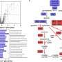 newly-discovered-enzyme-could-play-crucial-role-in-bacterial-breakdown-of-plastics