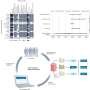cracking-single-cell-complexity-with-collective-intelligence