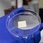 sorghum-proteins-offer-resilient-3d-printable-‘bioink’-base