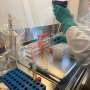 researchers-propose-next-steps-toward-fewer-animal-tests