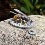the-imitation-game:-why-some-species-are-better-at-fooling-predators-than-others
