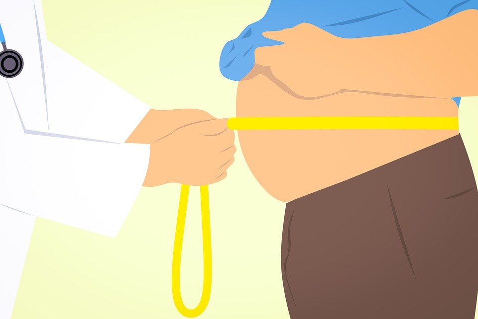 detailed-map-of-weight-loss-induced-changes-in-adipose-tissue