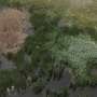 drone-herbicide-applications-prove-effective-for-common-reed-control