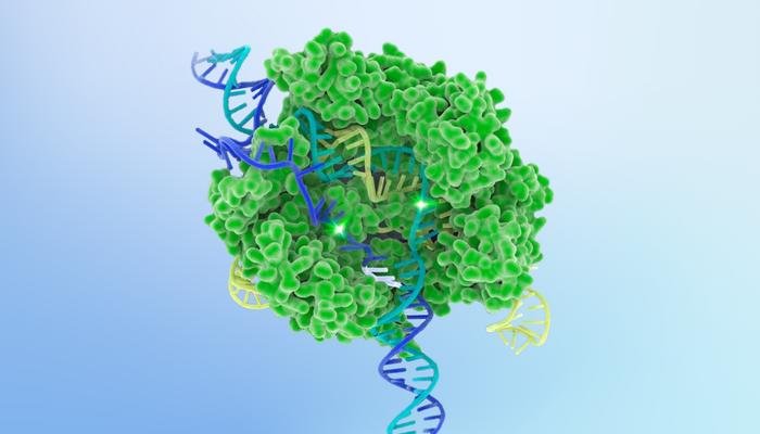 center-for-pediatric-crispr-therapies-founded-by-igi,-czi