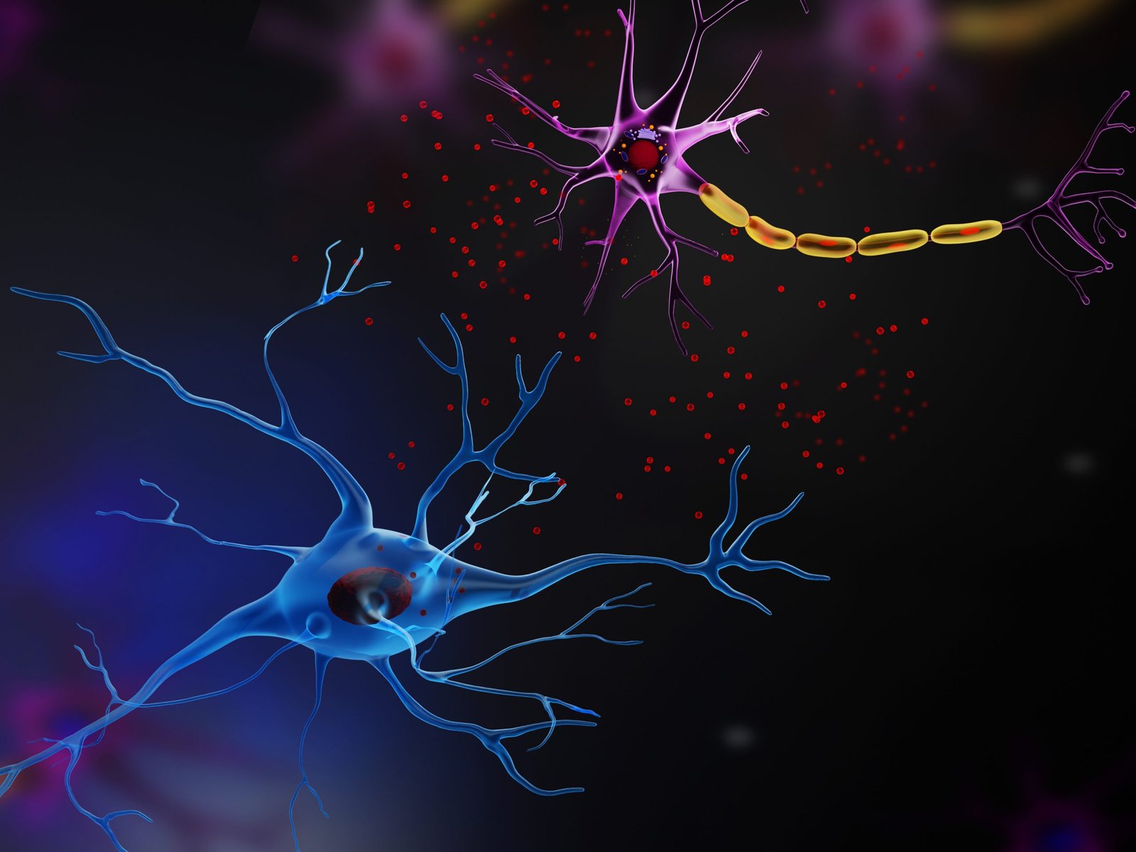 rare-brain-disease-alsp-stalled-by-microglia-replacement-via-bone-marrow