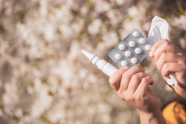 intranasal-monoclonal-antibody-reduces-hay-fever-and-asthma-symptoms-in-mice