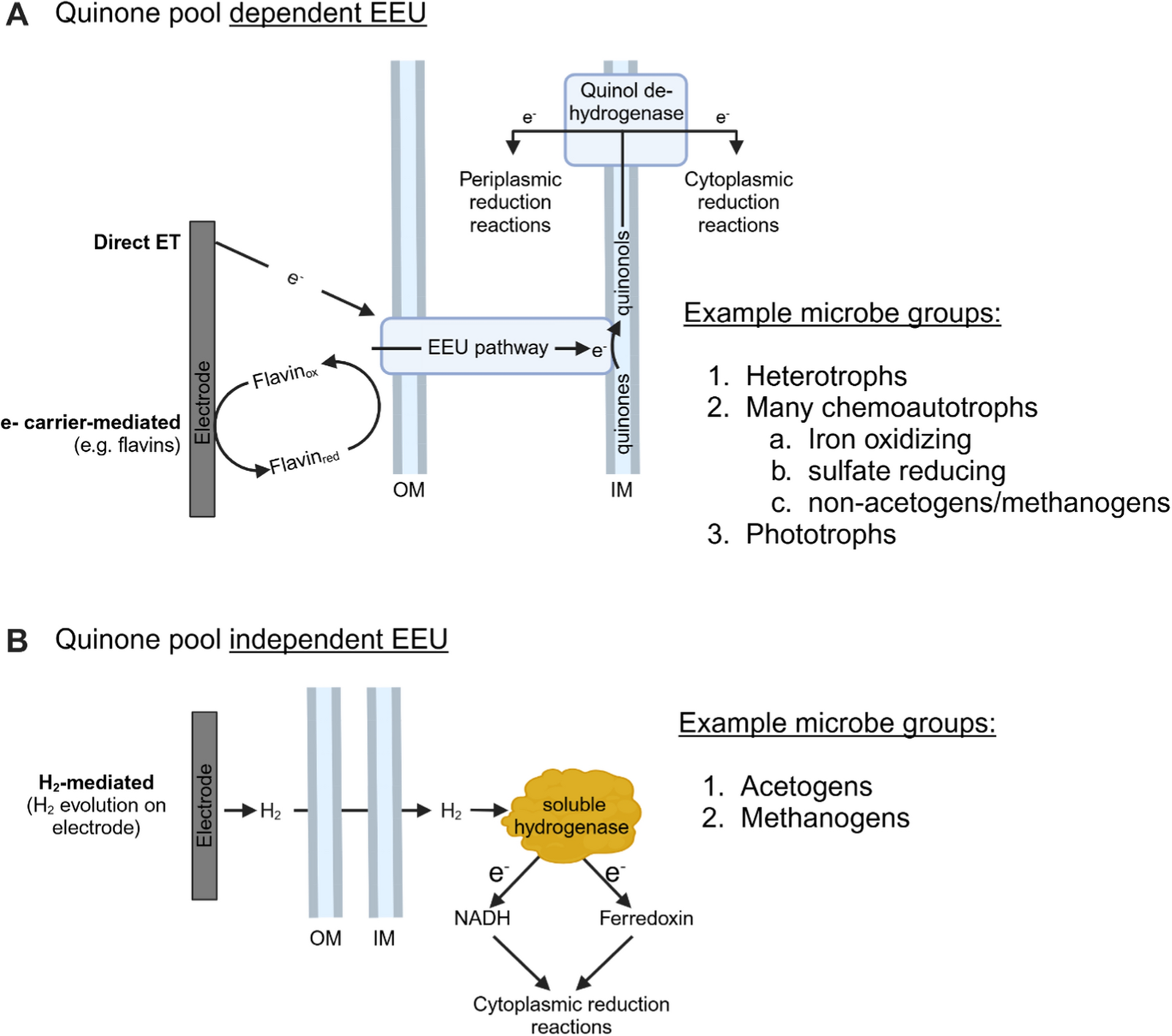 energetic-constraints-of-metal-reducing-bacteria-as-biocatalysts-for-microbial-electrosynthesis