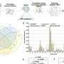 ai-finds-hundreds-of-potential-antibiotics-in-snake-and-spider-venom