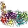 key-component-to-cell-division-revealed-in-3d