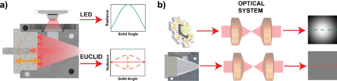 Impact of uniform illumination in widefield microscopy and mesoscopy