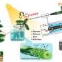 novel-biosensor-allows-real-time-monitoring-of-sucrose-uptake-in-plants