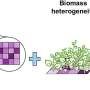 study-helps-urban-farmers-create-‘light-recipe’-to-increase-crop-yield