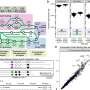 scientists-develop-technique-for-high-resolution-single-cell-epigenetic-analysis