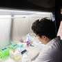 researchers-turn-food-waste-into-biodegradable-plastic