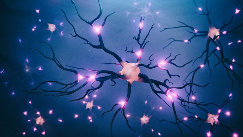 global-neurodegeneration-proteomics-consortium-uncovers-biomarkers-and-mechanisms