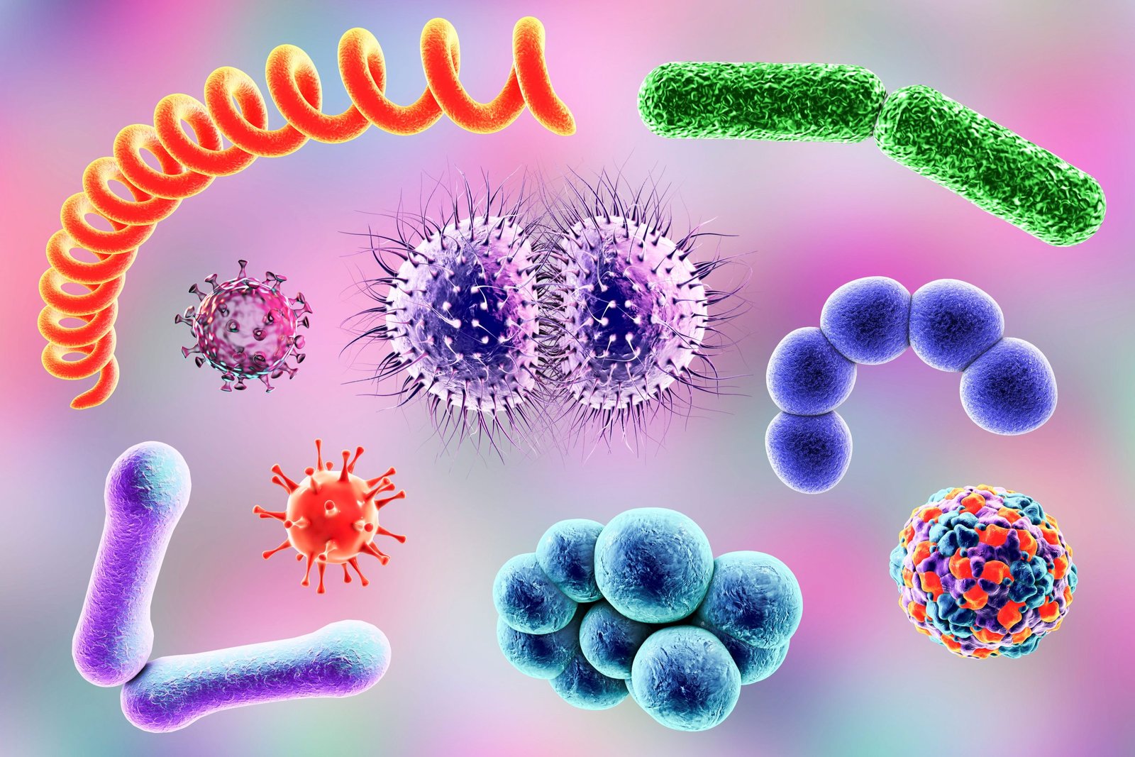 rapid-pathogen-detection-in-low-resource-settings-using-open-source-rt-lamp-assay