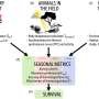 fitness-tracker-data-shows-running-too-fast-can-be-deadly-for-bearded-dragons