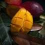 from-orchard-to-fridge:-helping-mangoes-stay-sweet-for-longer