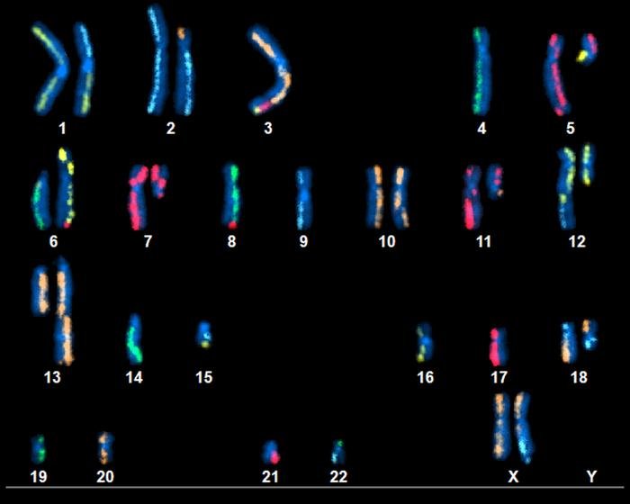 nist-releases-pancreatic-cancer-panacea-of-genomic-content