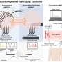 From passive to intelligent: Bioengineered organs meet electronics