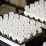 Evaluating the effect of liquid-handling speed on yeast growth using robots