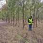 eyes-in-the-sky:-using-drones-to-safeguard-our-forests