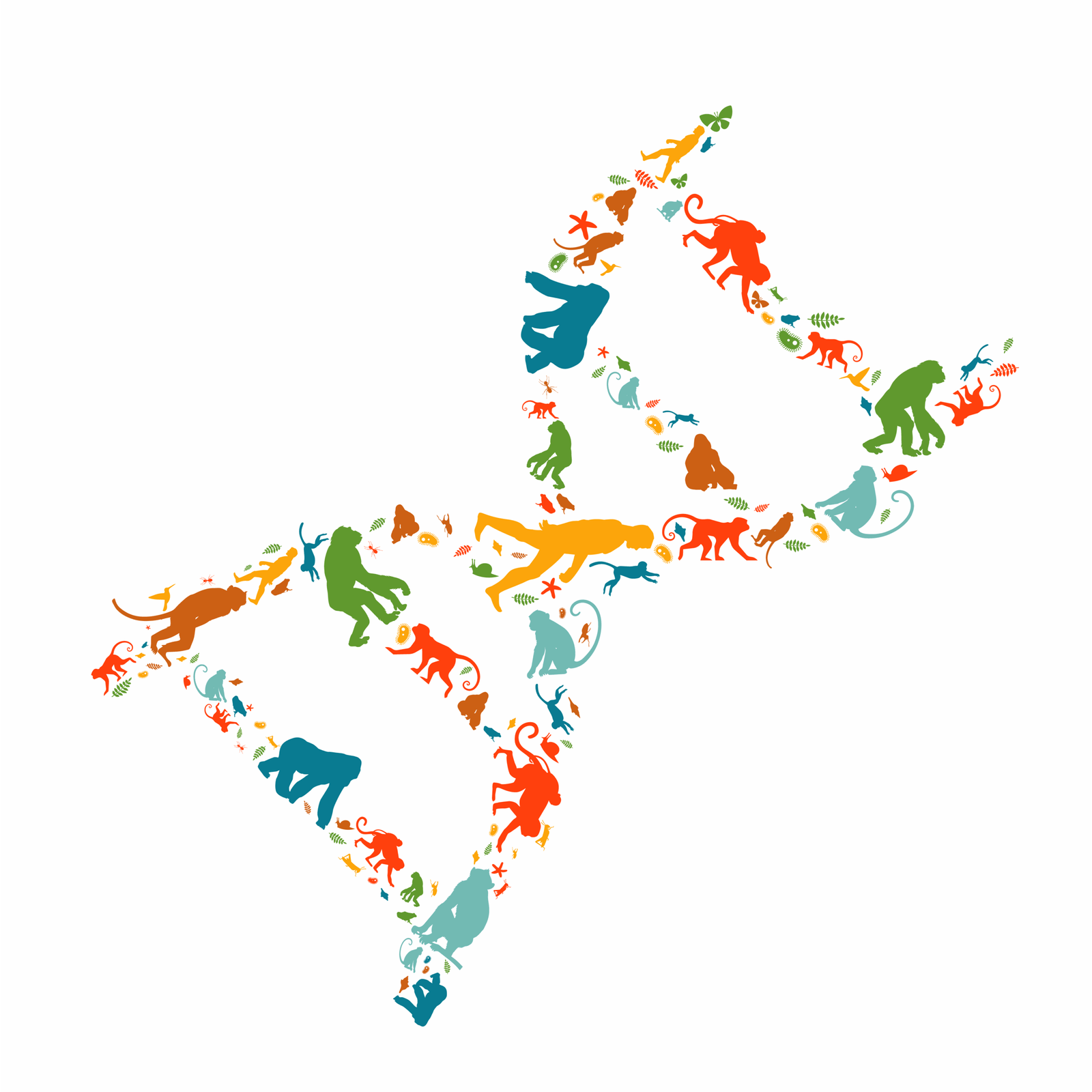 transposon-gene-regulatory-roles-revealed-using-phylogenetic-approach