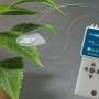 minimally-invasive-sensor-can-detect-stress-to-keep-plants-safe