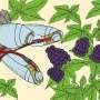 robot-hand-could-harvest-blackberries-better-than-humans