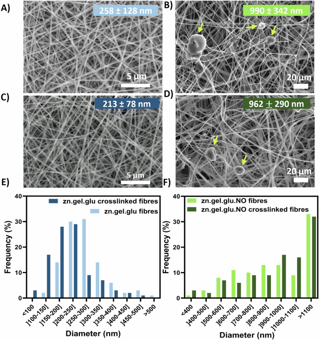 mimicking-the-myoseptum-in-cultivated-fish-by-manufacturing-edible-microalgae-rich-nanofibers