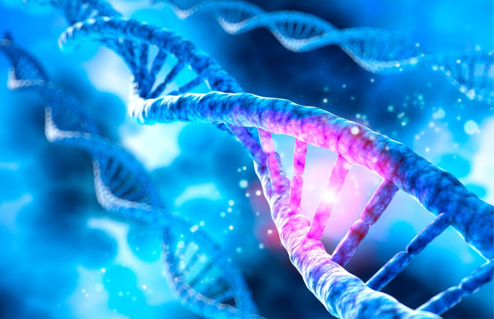 about-face:-sarepta-to-pause-elevidys-shipments-temporarily