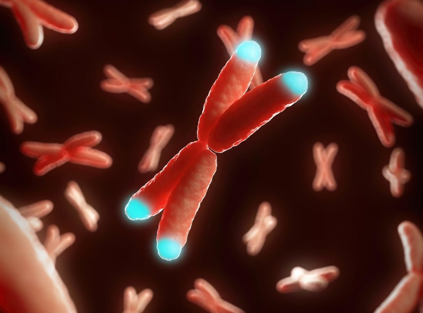 human-specific-gene-duplications-may-hold-clues-to-brain-function-and-evolution