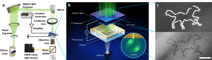 massively-parallel-microbubble-nano-assembly