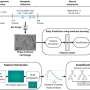 New AI system forecasts muscle stem cell yield from iPS cells using imaging