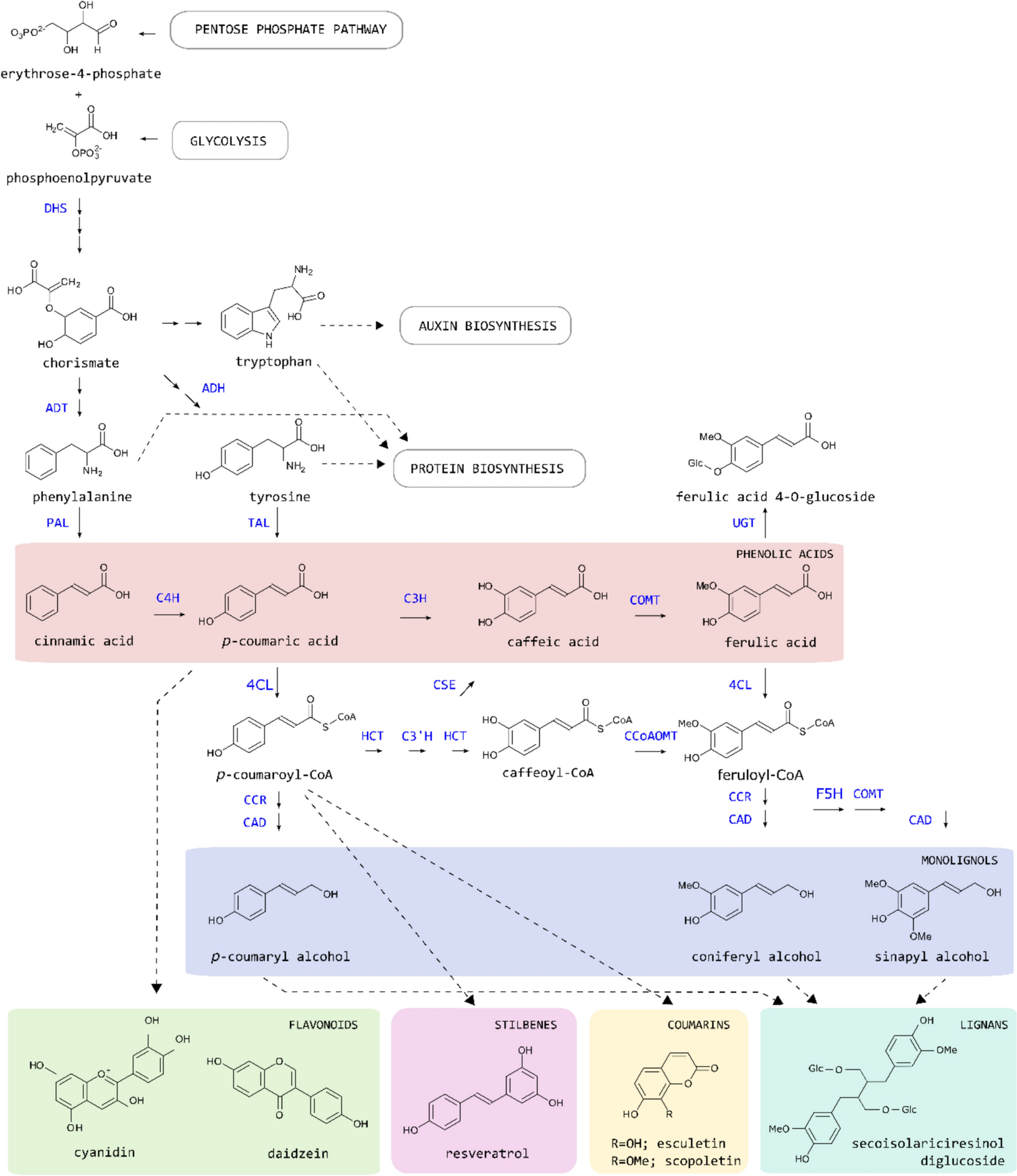 Nature’s laboratory: plant metabolic engineering methods using phenylpropanoids as a case study