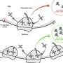 new-ai-tool-accelerates-mrna-based-treatments-for-viruses,-cancers,-genetic-disorders