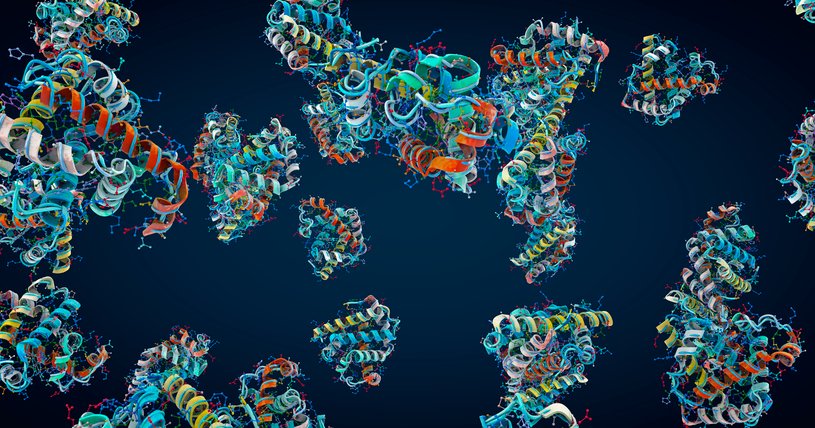 protein-core-stability-rules-open-door-for-faster-protein-design
