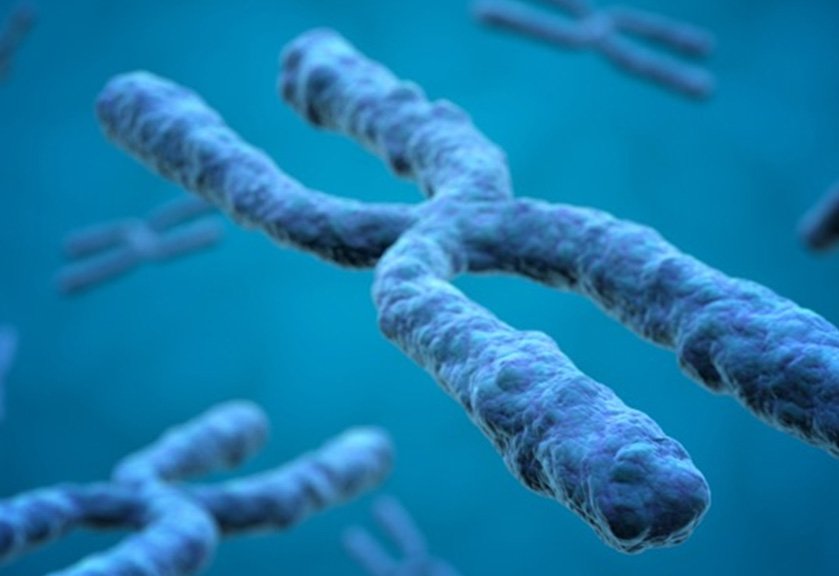 fda-probes-death-of-brazilian-boy-linked-to-sarepta’s-elevidys