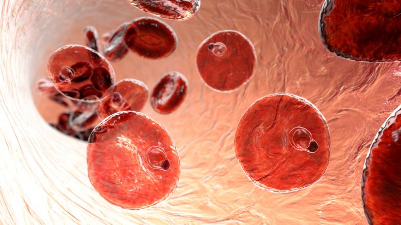 mass-administration-of-ivermectin-slows-malaria-transmission-in-kenya