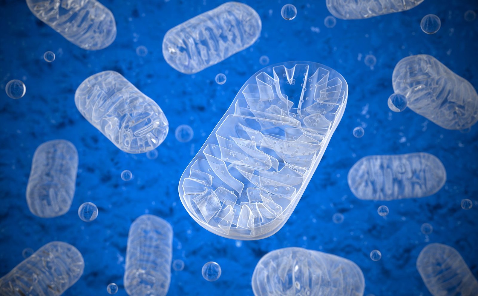 mitophagy-mechanism-unlocks-therapy-path-for-parkinson’s-disease
