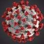researchers-create-‘virtual-scientists’-to-solve-complex-biological-problems