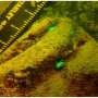 Combining light arrays and 3D modules doubles survival of baby corals