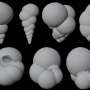 tiny-fossils-lead-to-smarter-robots-with-automated-sorting