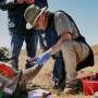 Scientific innovation offers new weapon against rhino poaching