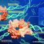 Megabase-scale precision genome editing achieved in eukaryotic cells