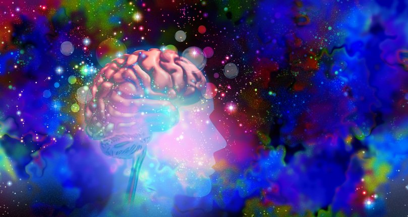 psychedelics-and-non-hallucinogenic-analogs-share-neuroplasticity-pathway